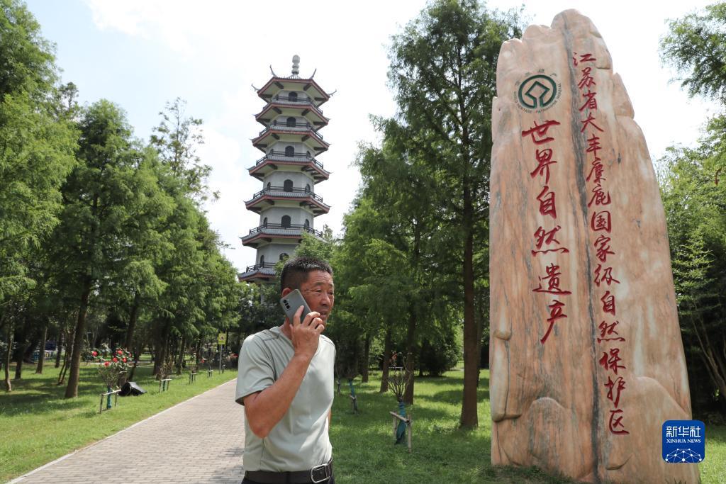 打虎娱乐